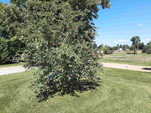 5100 E Dover, Clare, MI 48617 photo 29