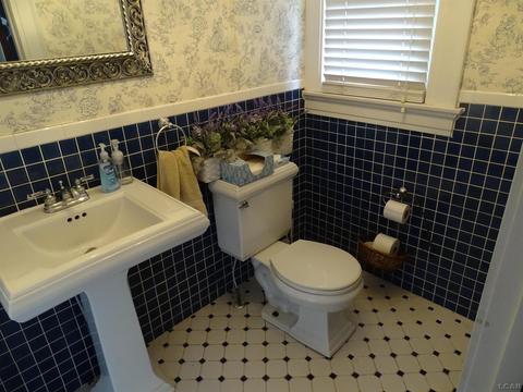 529 Dennis St, Adrian, MI 49221 photo 14