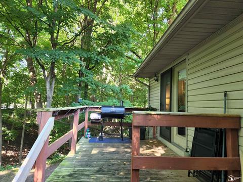 126 Burt St, Tecumseh, MI 49286 photo 11