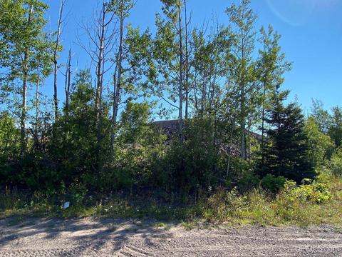 85 Sixth St, Mohawk, MI 49950 photo 59