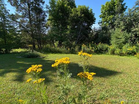 85 Sixth St, Mohawk, MI 49950 photo 63
