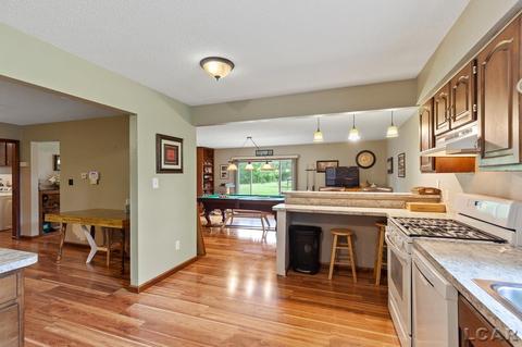 3909 Deerfield Rd, Adrian, MI 49221 photo 10