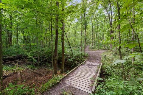 3909 Deerfield Rd, Adrian, MI 49221 photo 28