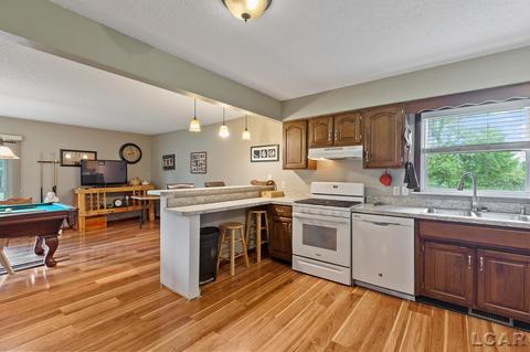 3909 Deerfield Rd, Adrian, MI 49221 photo 7
