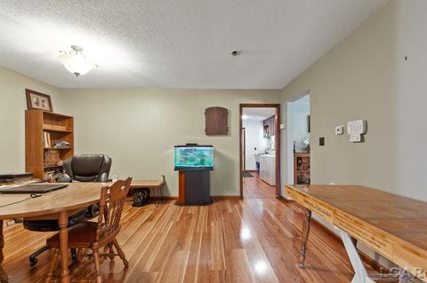 3909 Deerfield Rd, Adrian, MI 49221 photo 13