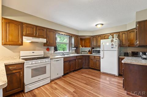 3909 Deerfield Rd, Adrian, MI 49221 photo 9