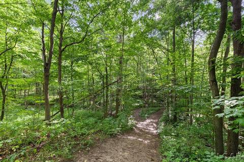 3909 Deerfield Rd, Adrian, MI 49221 photo 29