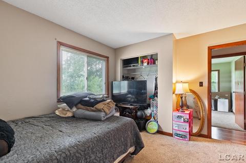 3909 Deerfield Rd, Adrian, MI 49221 photo 22