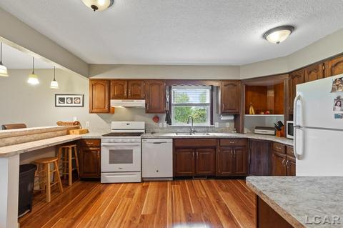 3909 Deerfield Rd, Adrian, MI 49221 photo 8
