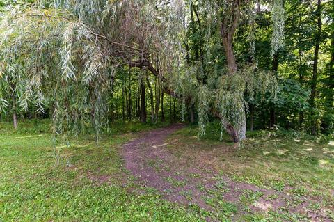 3909 Deerfield Rd, Adrian, MI 49221 photo 30