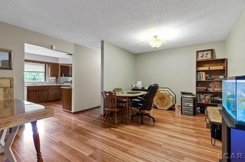 3909 Deerfield Rd, Adrian, MI 49221 photo 11