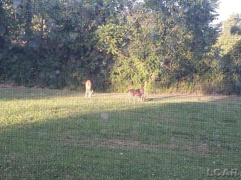 3909 Deerfield Rd, Adrian, MI 49221 photo 39