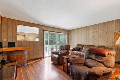 3909 Deerfield Rd, Adrian, MI 49221 photo 14