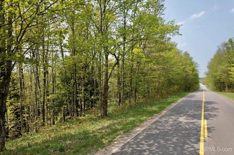 Tbd Co Rd 545, Skandia, MI 49885