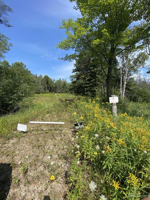 e3256 Michigan 67, Trenary, MI 49891