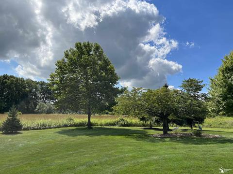 10224 Crabb Rd, Temperance, MI 48182 photo 41