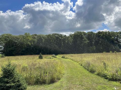 10224 Crabb Rd, Temperance, MI 48182 photo 38