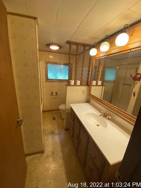 125 S Franklin St, Maple Rapids, MI 48853 photo 27