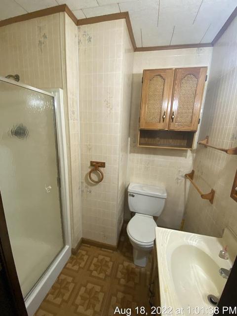 125 S Franklin St, Maple Rapids, MI 48853 photo 31
