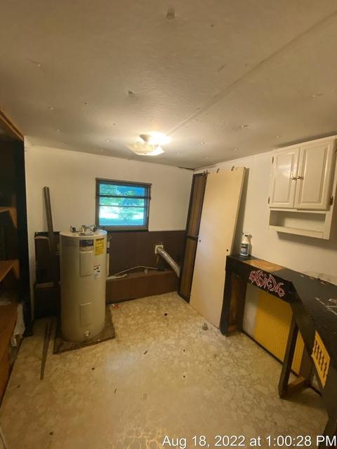 125 S Franklin St, Maple Rapids, MI 48853 photo 33