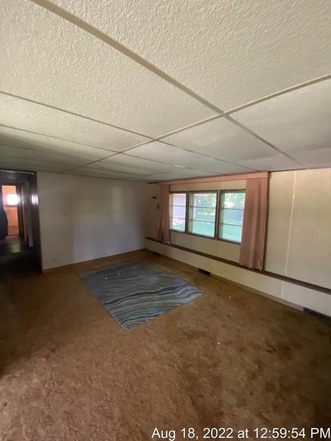 125 S Franklin St, Maple Rapids, MI 48853 photo 22