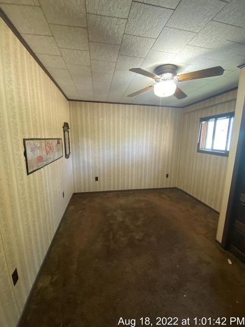 125 S Franklin St, Maple Rapids, MI 48853 photo 30