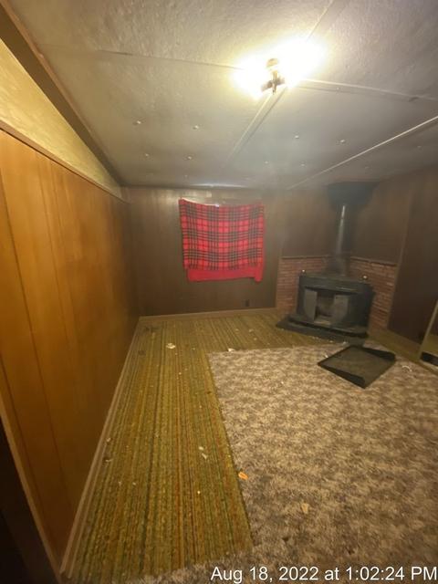 125 S Franklin St, Maple Rapids, MI 48853 photo 24