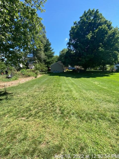 125 S Franklin St, Maple Rapids, MI 48853 photo 7