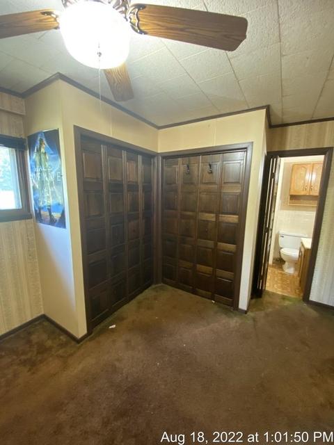 125 S Franklin St, Maple Rapids, MI 48853 photo 29