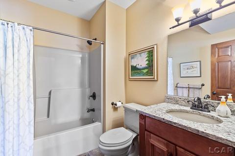 3883 Emery Rd, Adrian, MI 49221 photo 61