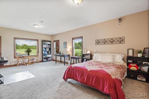 3883 Emery Rd, Adrian, MI 49221 photo 63