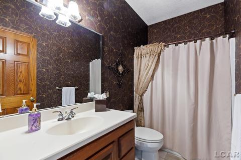 3883 Emery Rd, Adrian, MI 49221 photo 51
