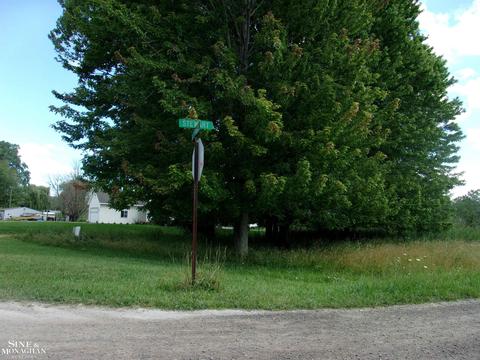 2039 Golf Crse, Harsens Island, MI 48028