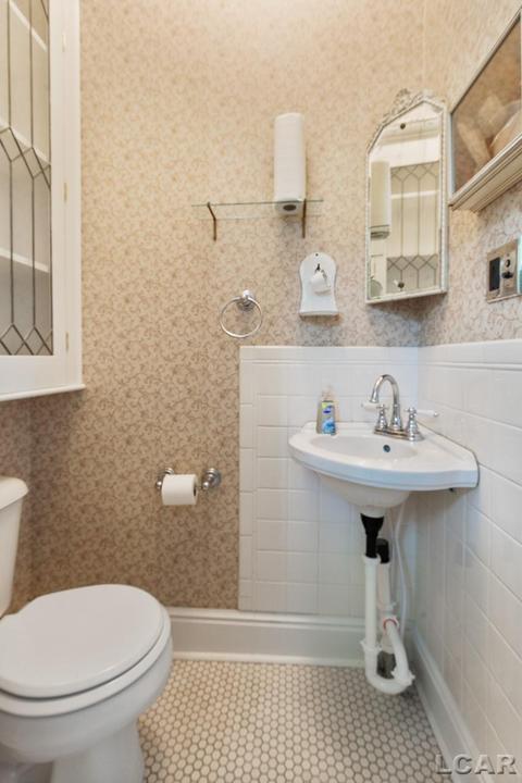 444 Dennis St, Adrian, MI 49221 photo 41