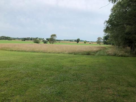 8866 Simpson Rd, Ovid, MI 48866 photo 3