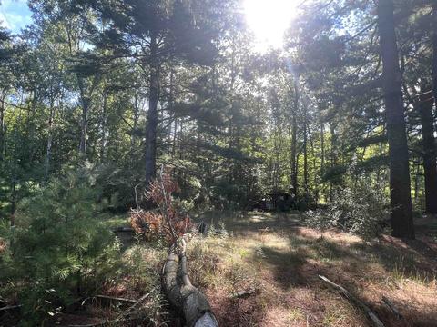 210 Kapplinger, Farwell, MI 48622 photo 3