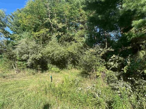 210 Kapplinger, Farwell, MI 48622 photo 11