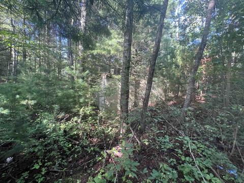 210 Kapplinger, Farwell, MI 48622 photo 35