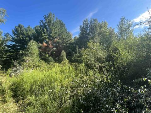 210 Kapplinger, Farwell, MI 48622 photo 9