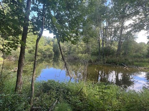210 Kapplinger, Farwell, MI 48622 photo 2