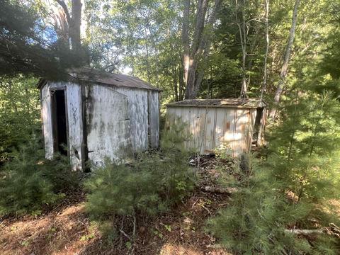210 Kapplinger, Farwell, MI 48622 photo 6