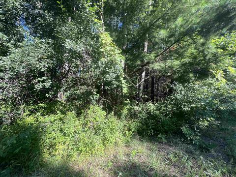 210 Kapplinger, Farwell, MI 48622 photo 20