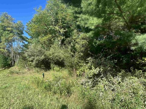 210 Kapplinger, Farwell, MI 48622 photo 12