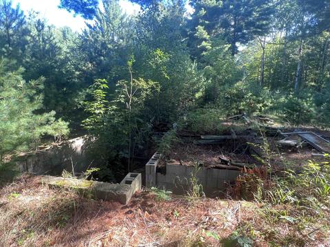 210 Kapplinger, Farwell, MI 48622 photo 5