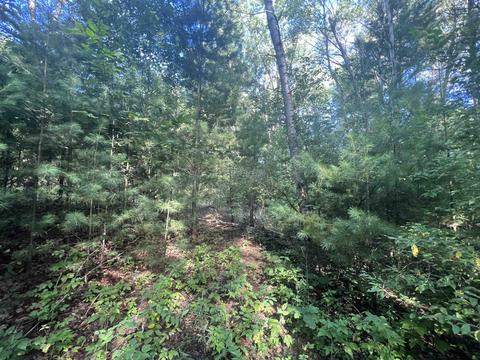 210 Kapplinger, Farwell, MI 48622 photo 36