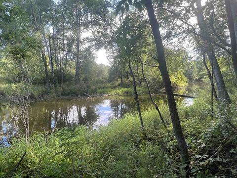 210 Kapplinger, Farwell, MI 48622 photo 31