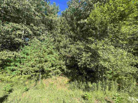 210 Kapplinger, Farwell, MI 48622 photo 22