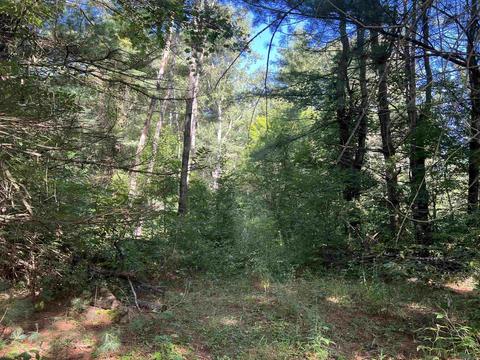 210 Kapplinger, Farwell, MI 48622 photo 26