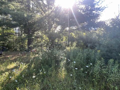 210 Kapplinger, Farwell, MI 48622 photo 8