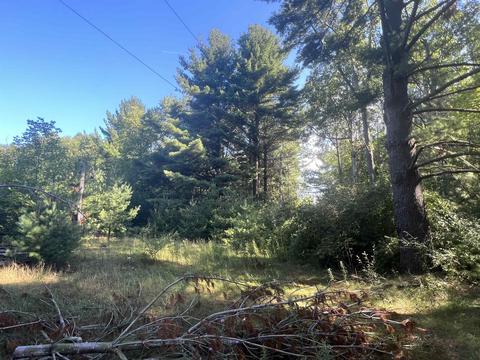 210 Kapplinger, Farwell, MI 48622 photo 4